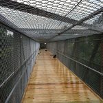 by pile driver walls