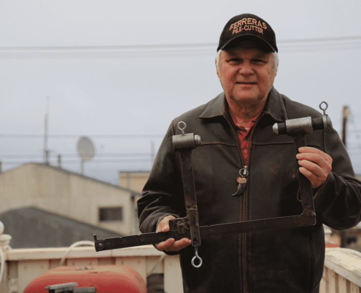 dan brown and associates