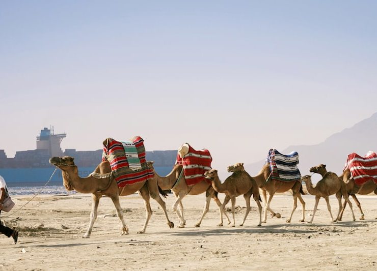 all crane rental of florida llc