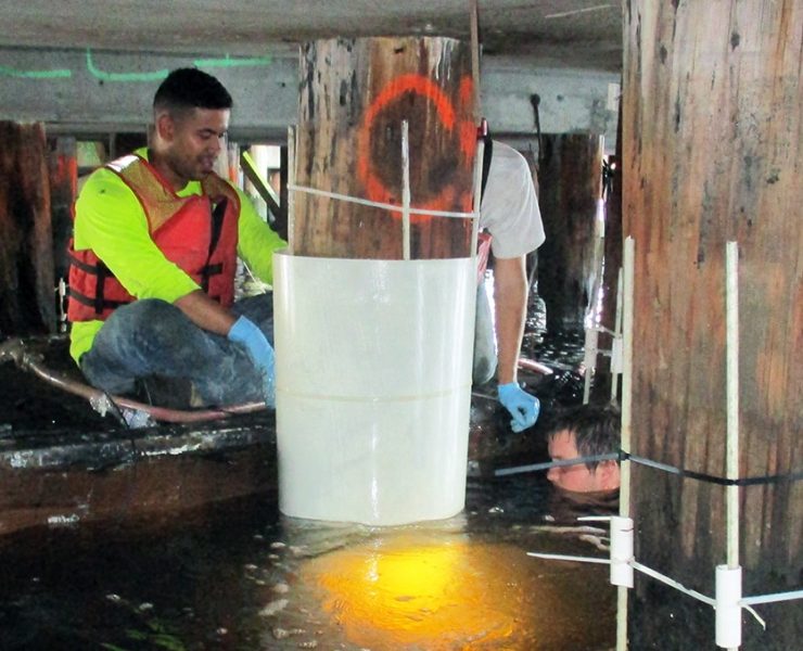 best river cofferdam