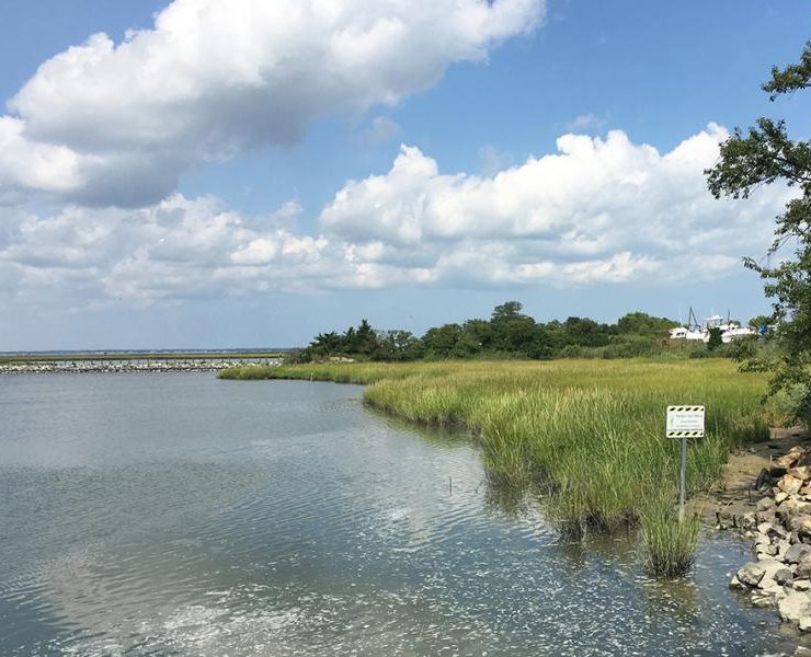 iron pile contractors