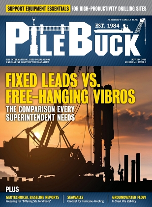 Issue 41-6 - Nov/Dec 2025