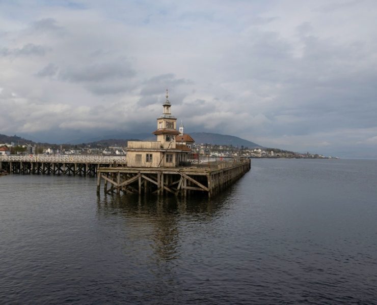 Tropical hardwood timber piles are among the densest natural materials used in marine construction. This density provides excellent abrasion resistance but significantly increases handling and driving forces.