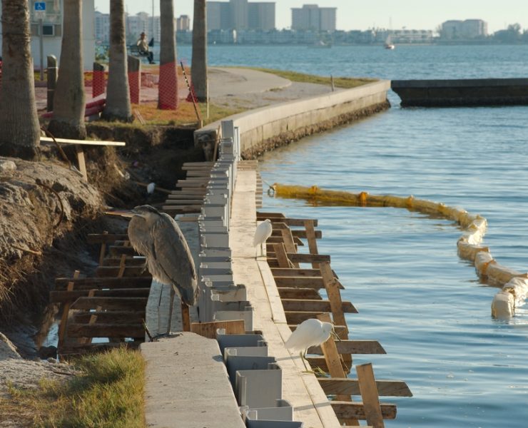 Saltwater intrusion accelerates corrosion in reinforced concrete and steel seawalls by introducing chlorides into structural elements. Effective waterproofing systems slow this process and extend service life in coastal environments.